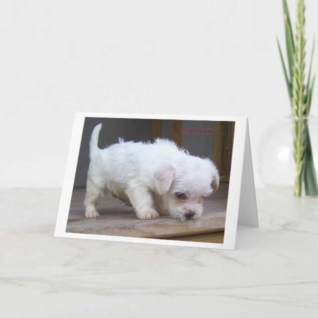 Carte Joyeux Fils d'anniversaire (Devant)