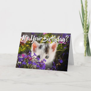 Carte Joyeux Fleurs de chats d'anniversaire
