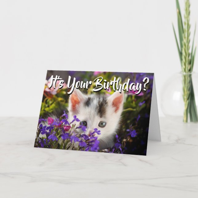 Carte Joyeux Fleurs de chats d'anniversaire (Devant)