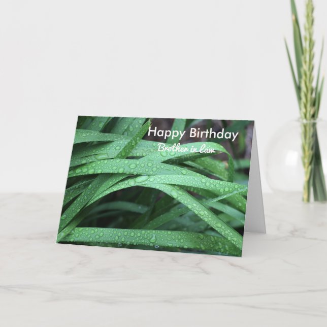 Carte Joyeux frère d'anniversaire en droit (Devant)