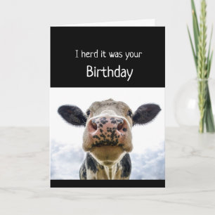 Carte Joyeux gâteau d'anniversaire Sniffer Vache Humour