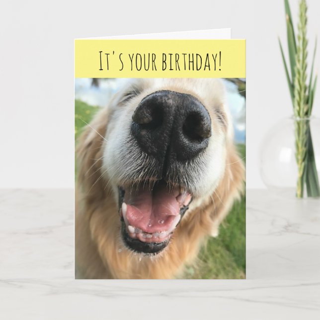 Carte Joyeux Golden Retriever Chien Fête d'anniversaire (Devant)