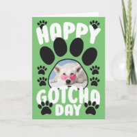 Joyeux Gotcha Day Pet Chien