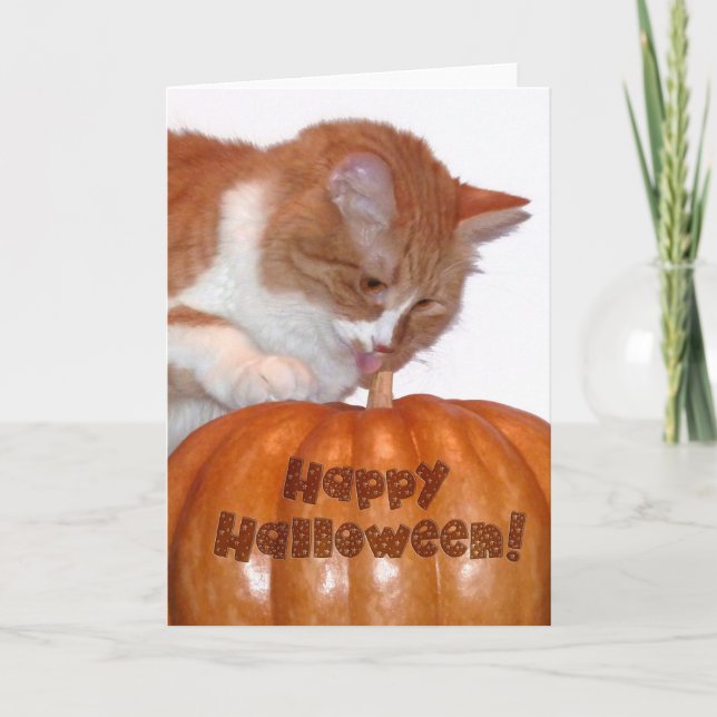 Carte Joyeux Halloween Adorable Chat avec Citrouille (Devant)