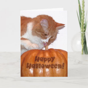 Carte Joyeux Halloween Adorable Chat avec Citrouille