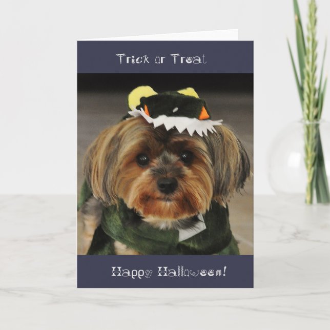 Carte Joyeux Halloween ! Trick ou Treat Yorkshire terrie (Devant)