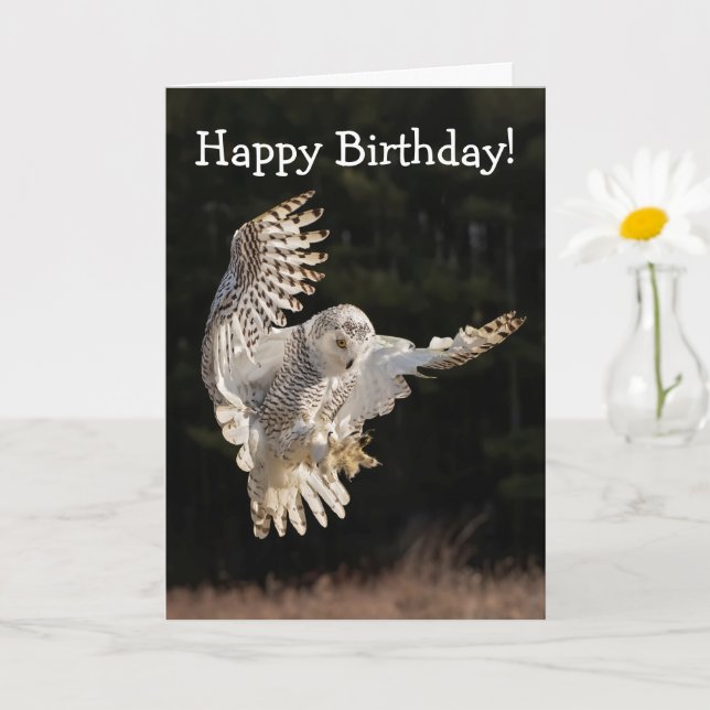 Carte Joyeux hibou d'anniversaire (Petite plante)