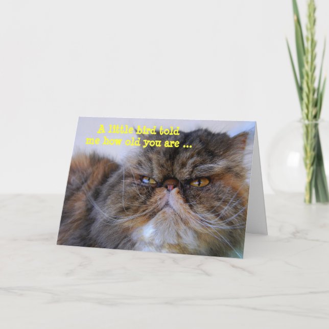 Carte Joyeux Humour d'anniversaire Calico Persian Kitty  (Devant)