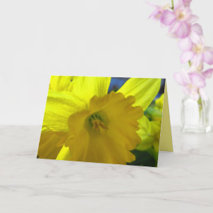 Carte Joyeux Jaune Daffodil Narcisse Fleurs de printemps