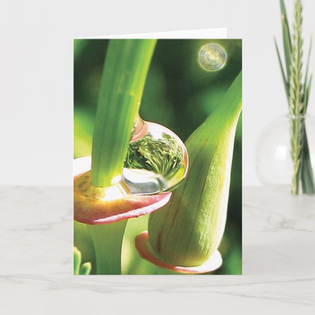 Carte Joyeux, magique, Dew Drop Friendship (Devant)