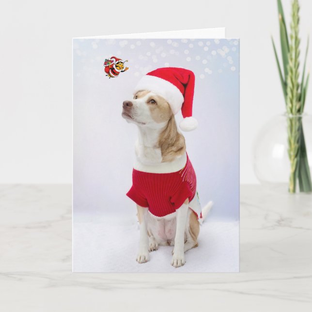 Carte Joyeux Noël. (Devant)