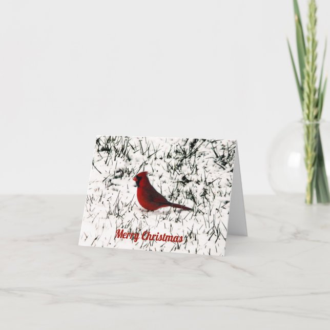 Carte Joyeux Noël Cardinal (Devant)