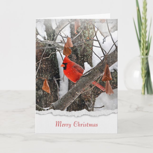 Carte Joyeux Noël cardinal rouge sur branche (Devant)
