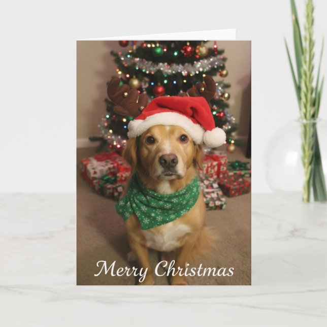 Carte Joyeux Noël Chien (Devant)