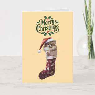 Carte Joyeux Noël Chien Poméranien Mignon
