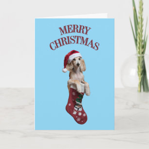 Carte Joyeux Noël Chien Saluki Mignon