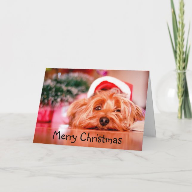 Carte Joyeux Noël Chien Yorkie Épuisé Amusant (Devant)