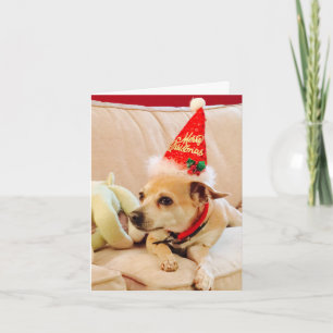 Carte Joyeux Noël Chihuahua Chérie 4Sadie