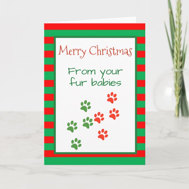 Carte Joyeux Noël de Chiens Chats Animaux multiples (Devant)