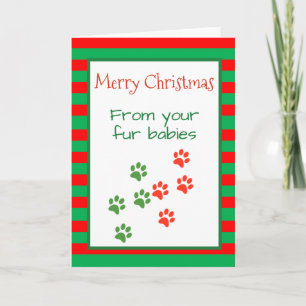 Carte Joyeux Noël de Chiens Chats Animaux multiples