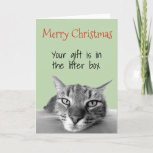 Carte Joyeux Noël du cadeau de chat dans la boîte à liti
