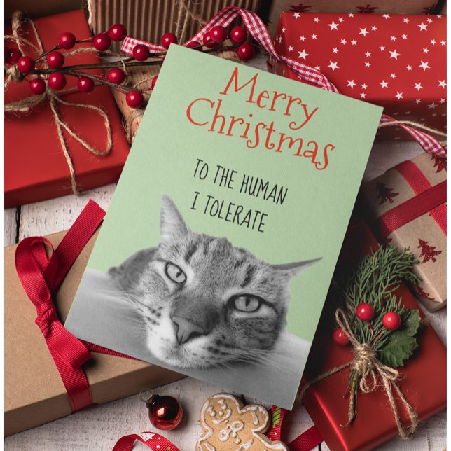 Carte Joyeux Noël Du Chat À L'Homme Je Drôle (Créateur téléchargé)