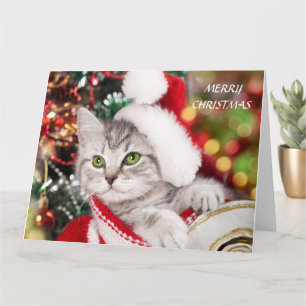 Carte Joyeux Noël Kitten
