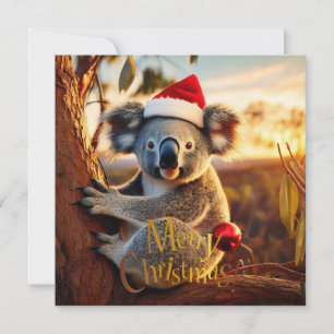 Carte Joyeux Noël Koala assis à Gumtree