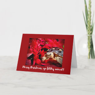 Carte Joyeux Noël ya sale animal bébé tortue Noël