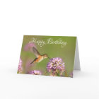 Joyeux oiseau-colibri et fleurs sauvages