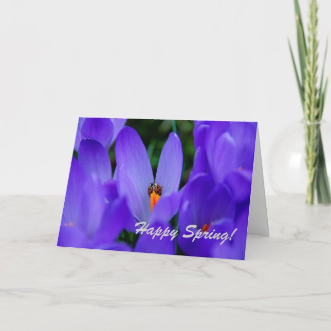 Carte Joyeux Printemps (Devant)