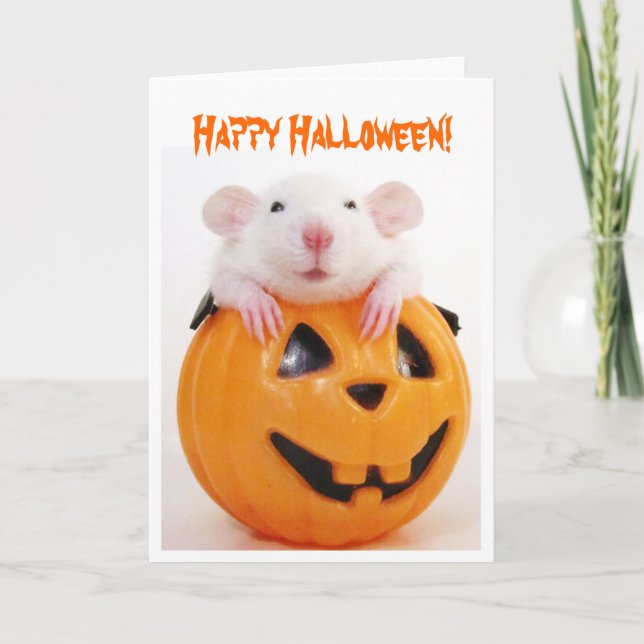 Carte Joyeux Rat Citrouille Halloween (Devant)