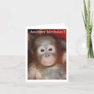 Carte Joyeux singe d'anniversaire autour