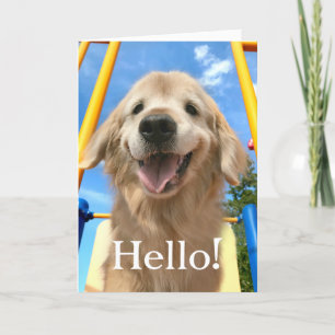 Carte Joyeux sourire Golden Retriever Bonjour