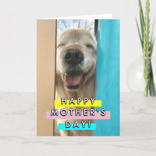 Carte Joyeux sourire Golden Retriever Chien Fête des mèr