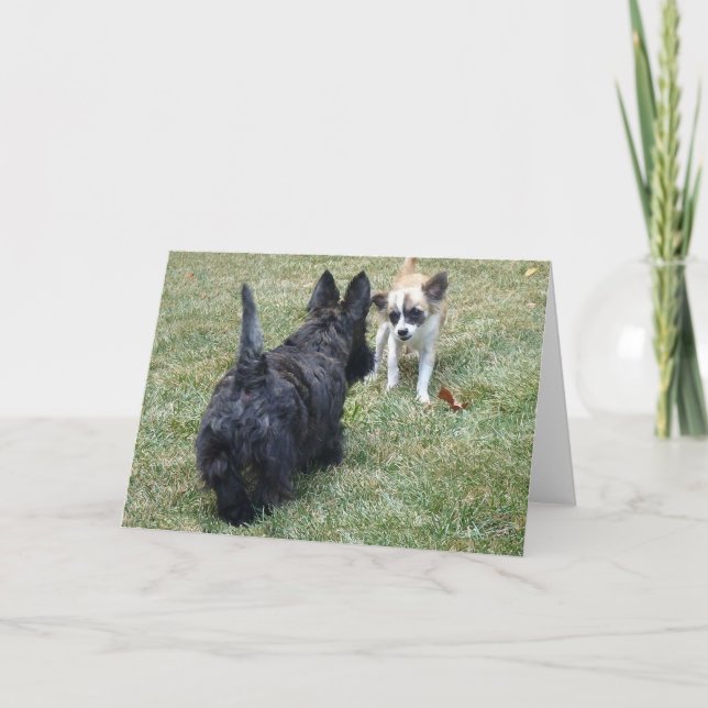 Carte Joyeux Terrier Écossais et Ami (Devant)