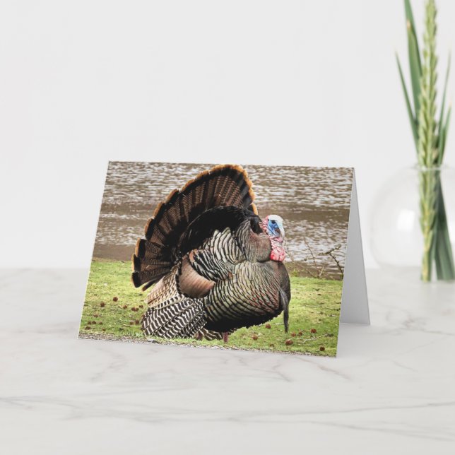 Carte Joyeux Thanksgiving (Devant)