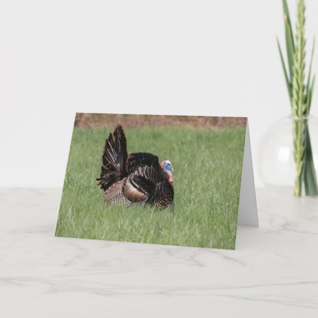 Carte Joyeux Thanksgiving (Devant)
