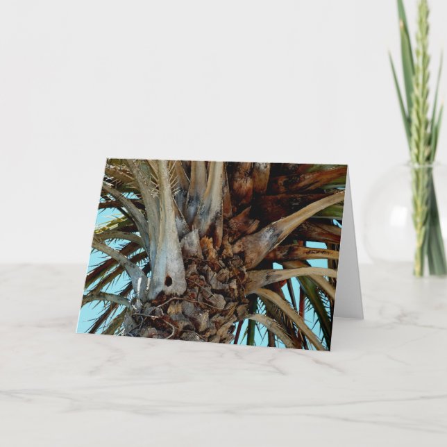Carte "Joyful Palm" Close up, top of tree with blue sky (Devant)
