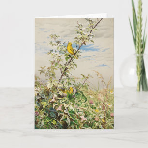 Carte Juin   Ponts Fidelia