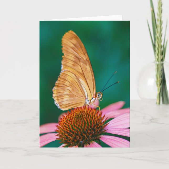 Carte Julia (Devant)