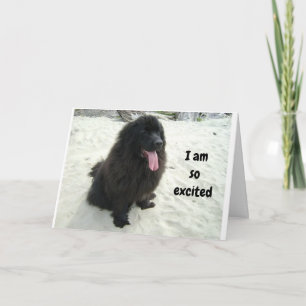 CARTE JUMEAU J'AIME PARTAGER MON ANNIVERSAIRE AVEC "VOUS