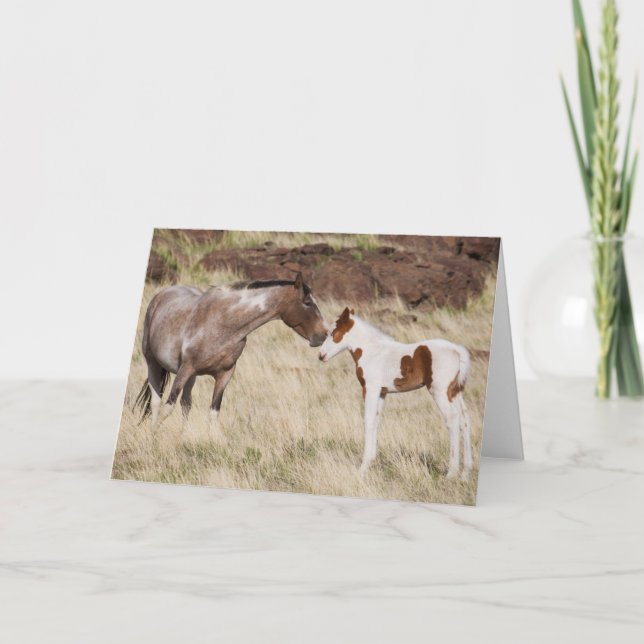 Carte Jument avec poulain (Devant)