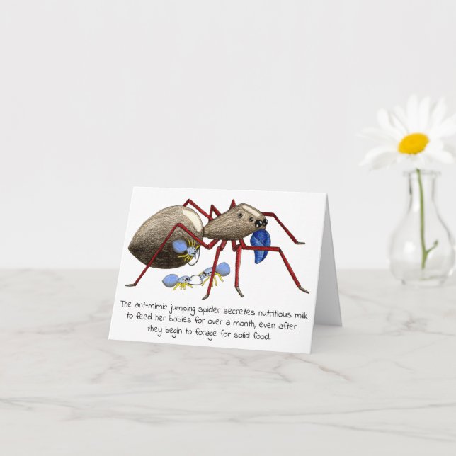 Carte Jumping Spider pour la fête des mères (Petite plante)
