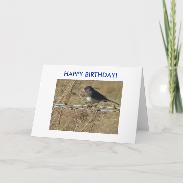 Carte Junco Foncé-eyed et Barbwire, JOYEUX ANNIVERSAIRE (Devant)