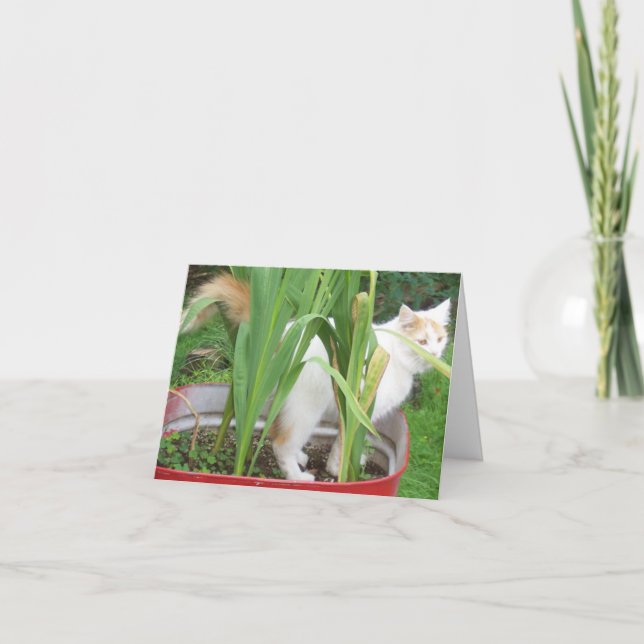 Carte JUNGLE KITTY-HAPPY 30e SIS (Devant)