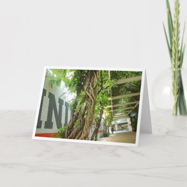 Carte Jungle urbaine (Devant)