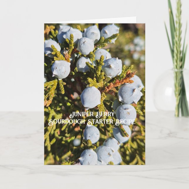 Carte Juniper Berry Sourdough Starter Recette Card (Devant)