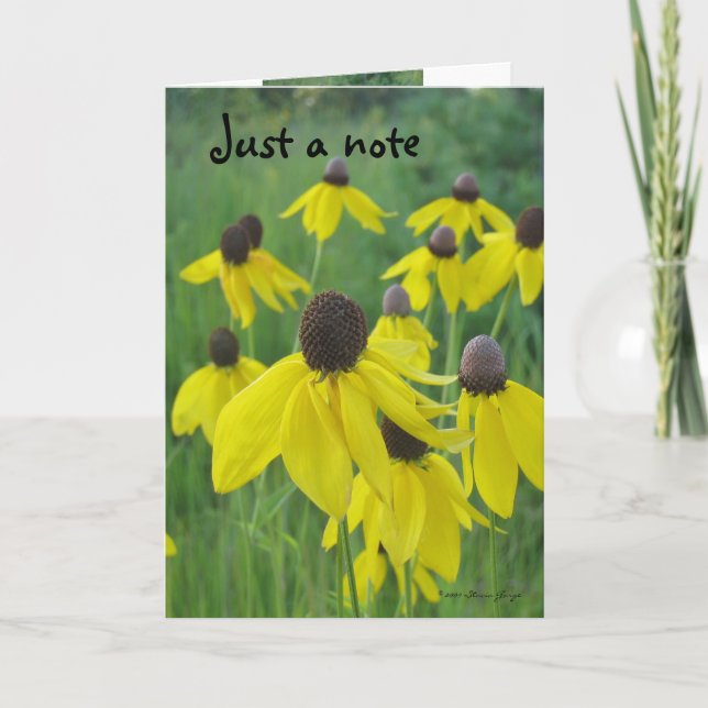 Carte Just a Note Card/Yellow Coneflowers (Devant)