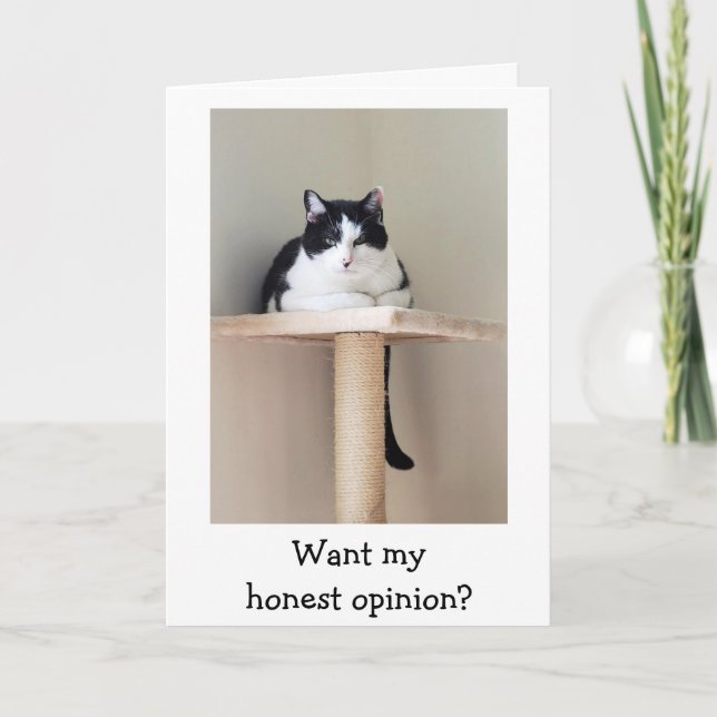 Carte Just For Laughs Cat Cancer Support Card (Devant)